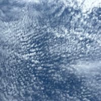 梅雨入り2025