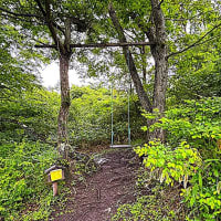 ③八ヶ岳グレイスホテル「名前のない散歩道」・・・天文台野辺山