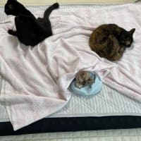 あと１週間