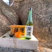 入江大明神と土佐大明神