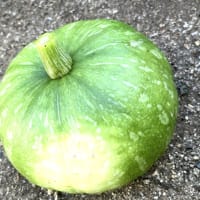 7月12日（土）②