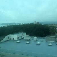 今朝の鴨川　　25/06/30