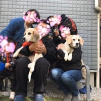 サリーちゃん安らかに