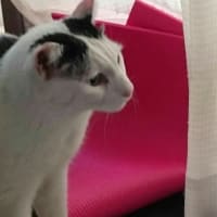 寝る