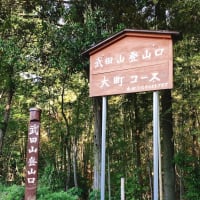 ワーホリ日本打工度假Day302