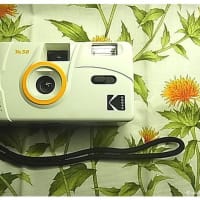 8、Kodak M38