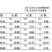 1定点医療機関当たり新型コロナ新規感染者数(67)＜手足口病・マイコプラズマ肺炎＞