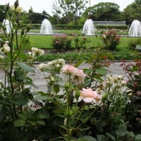 須磨離宮公園