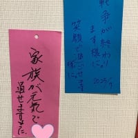 短冊に願い込めて✨