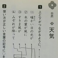日能研全国テスト」の結果 - 賢い子に育てたい！ ～家庭学習で