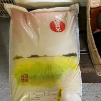 今日は蒸し暑い梅雨の晴れ間ですが・・・