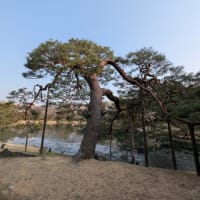 六義園八十八境　霞入江