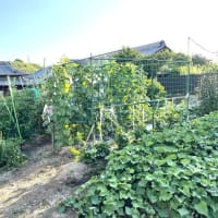 7月12日（土）②