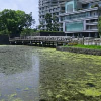 日本橋・丸の内界隈史跡巡り散歩