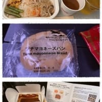 日本一時帰国　　～～羽田のホテルと戻りの飛行機とシカゴで走った話編～～