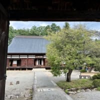 放光寺の参道市