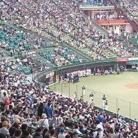 ５月２４日セ・パ交流戦