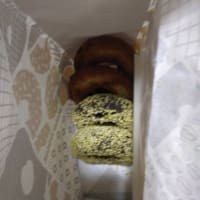 昨日は健康診断に行きました。