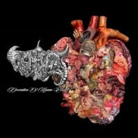 Organ Harvest - Desecration of Human Essence