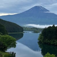 ただただうっとりただ有難く・・・富士山めぐりと信州春旅2025＜１＞