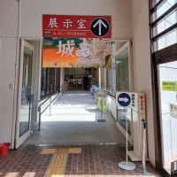 史跡の博物館、嵐山町、らんざんまち