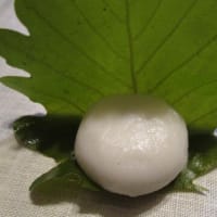 武蔵製菓の柏餅つぶ