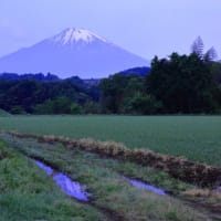 富士山　「はい、朝焼けが　」 逆さ景観散策中に... ﾌﾟﾗｽ指向された景観が...
