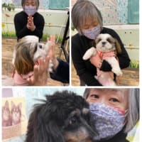 昨日の事