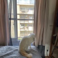 風が気持ちいいー！