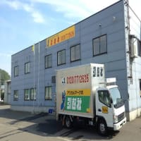 アリのままで