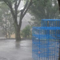 ゲリラ豪雨