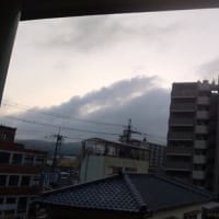 2025年6月4日（水）曇時々晴。
