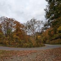 紅葉の八幡平、玉川温泉、宝仙湖、仙岩峠ドライブ