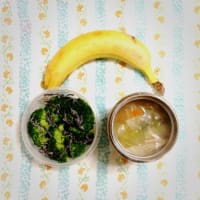 肉団子と野菜の中華スープ弁当（44日目）