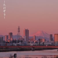 言葉のあそび　その３　雀