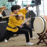 コスモス風景　～　定禅寺jazzフェス