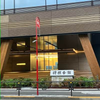 なでしこジャパンvs韓国を国立競技場で現地観戦