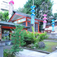 朝の散歩　七夕飾りの熊野神社に茅の輪　　　19