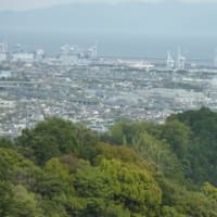 タダオの山日記