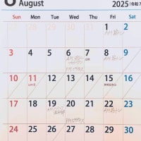 やもりハウス　8月の貸切予定