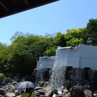 南西　～高知～　2024年4月
