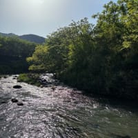 marumo camp base その②