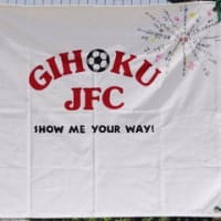 全日本少年サッカー大会１