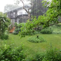 Heavy rain
