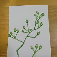 私の俳句