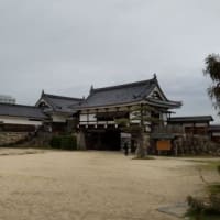 2025年5月9日 広島城二の丸