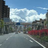 急に夏