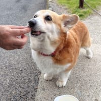 寝ながら走る・・・
