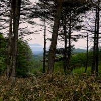 古峠(旧和田峠)を訪ねて