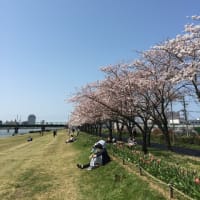 新潟久紀「仕事遍歴」インデックス(索引)【更新】